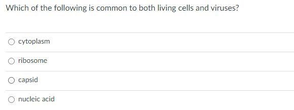 Need help with this please-example-1