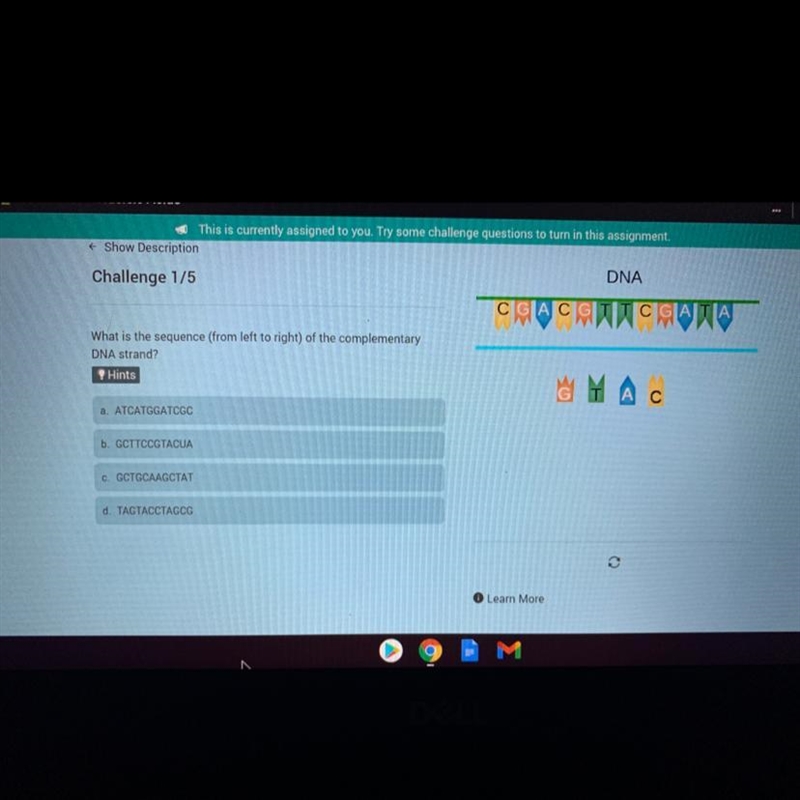 What is the sequence (from left to right) of the complementary DNA strand?-example-1