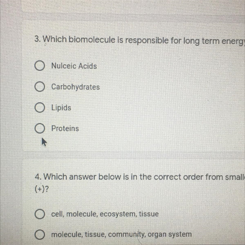 Which bio molecule is responsible for long term energy-example-1