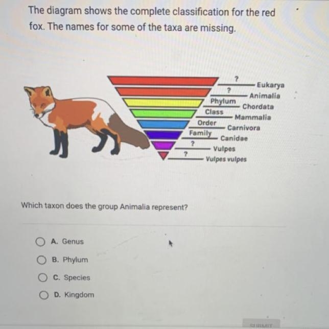 PLEASE The diagram shows the complete classification for the red fox. The names for-example-1