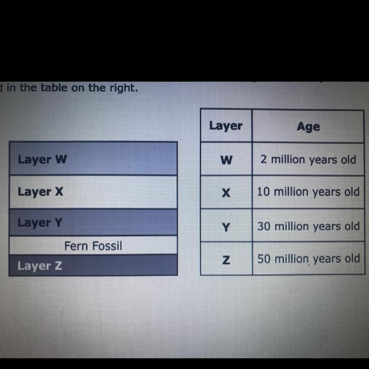 Suppose a fern fossil is found between layer Y and layer z during which time range-example-1