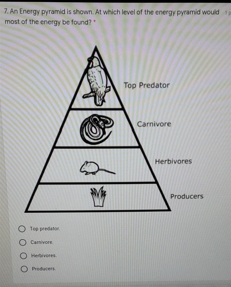 Which one would it be I need help​-example-1