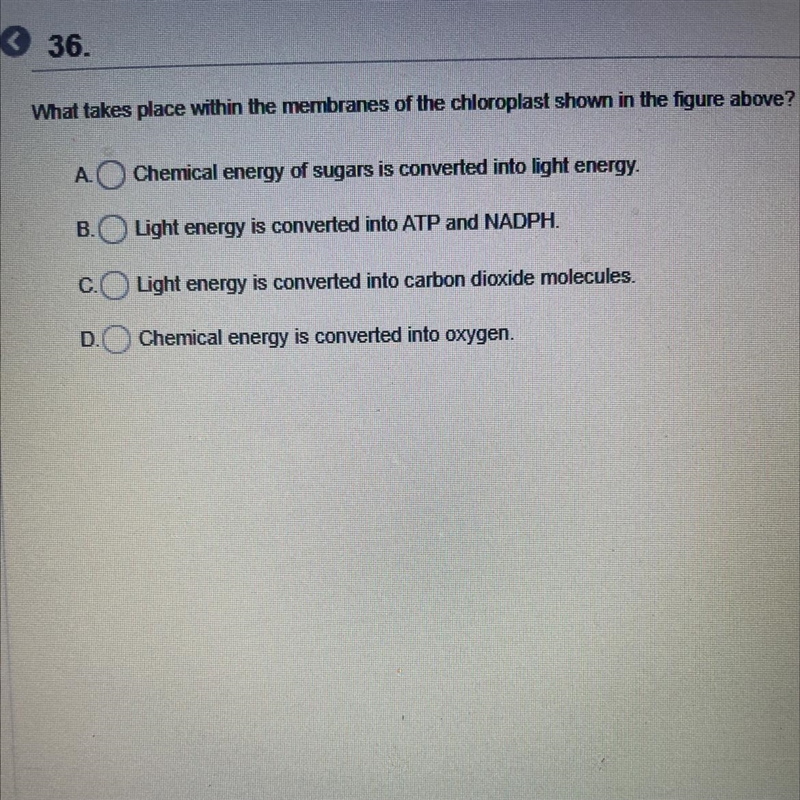 What takes place within the membranes of the chloroplast shown in the figure above-example-1