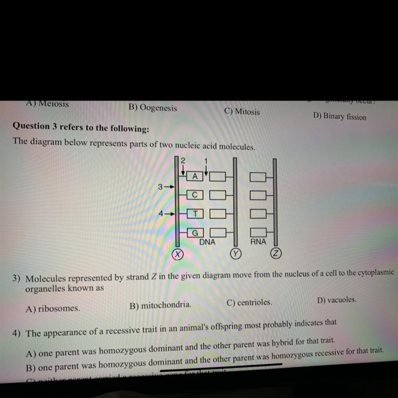 2) During which reproductive process do the two processes shown in the given diagram-example-1