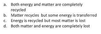 Help! Which of the following describes energy and matter in ecosystems? Explain why-example-1