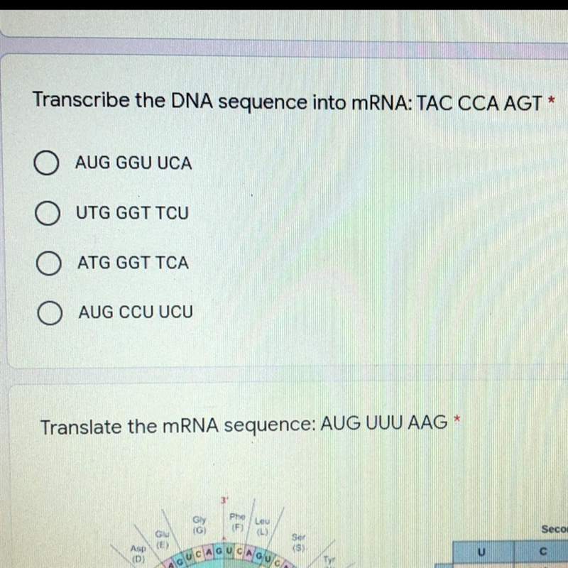 Transcribe the DNA sequence into mRNA: TAC CCA AGT PLESSE HELPPPP-example-1