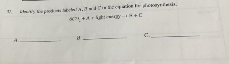 I need help with this ASAP please!!!-example-1