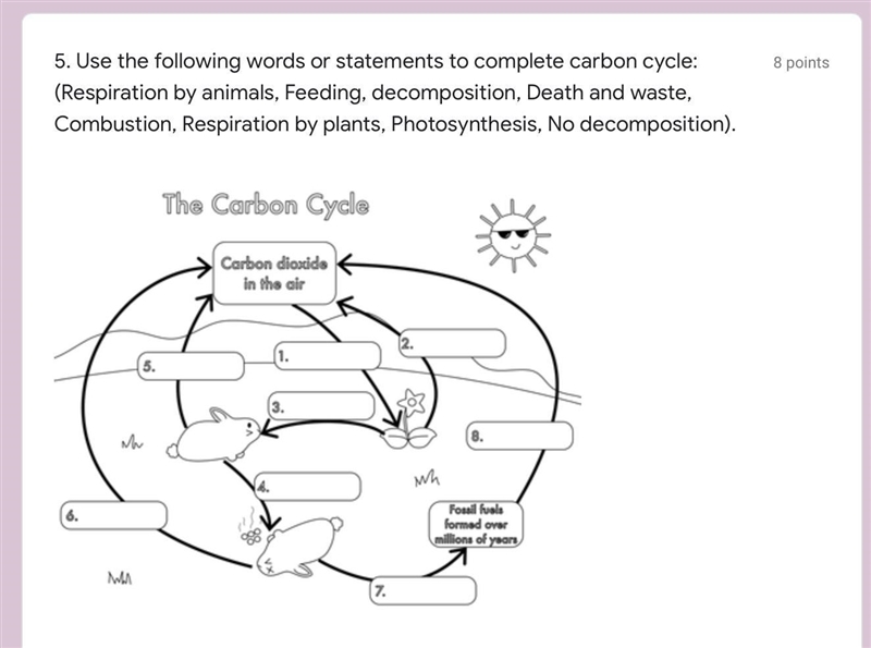 I really need help this is carbon cycle help me label it-example-1