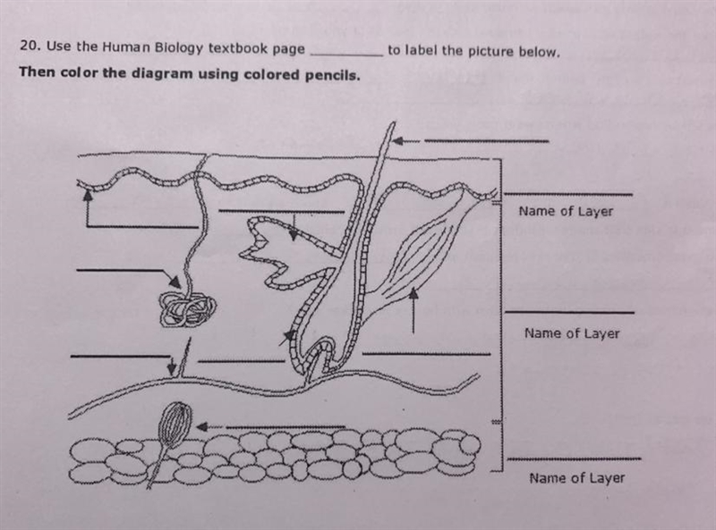 Please solve all of question 20-example-1