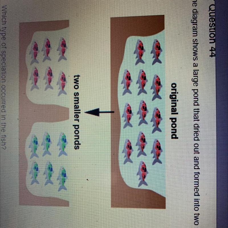 The diagram shows a large pond that dried out and formed into two smaller ponds. What-example-1