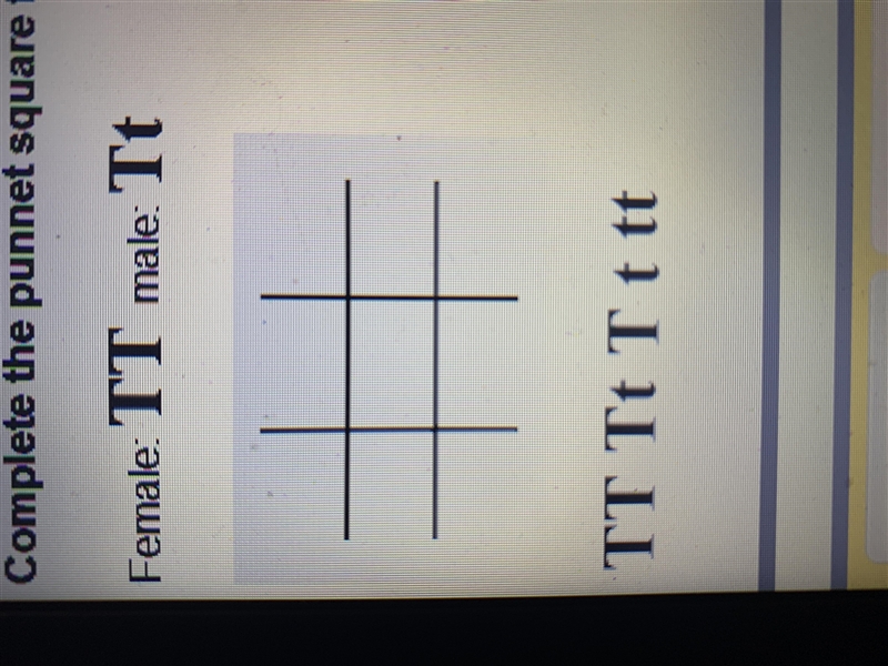 Complete the punnet square for the following cross-pollination. Female: TT Male: Tt-example-1