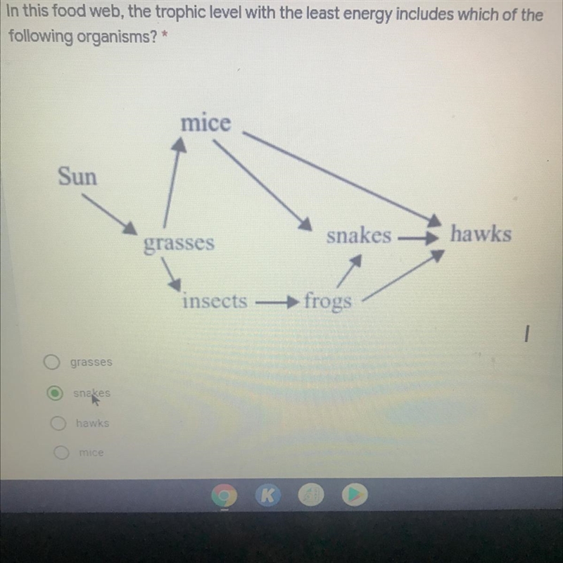 In the food web the trophic level with the least energy includes which of the following-example-1