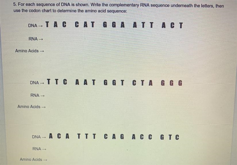 PLS HELP......DNA, RNA, condon chart-example-1