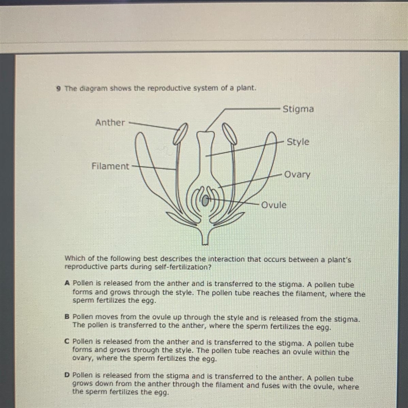 I NEED HELP ITS DUE RIGHT NOW PLEASE ( biology question !!! )-example-1