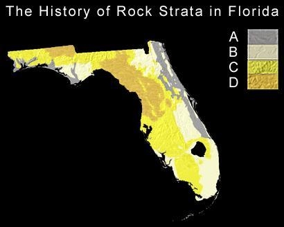 In the Florida map shown below, use the law of superposition to determine which rocks-example-1