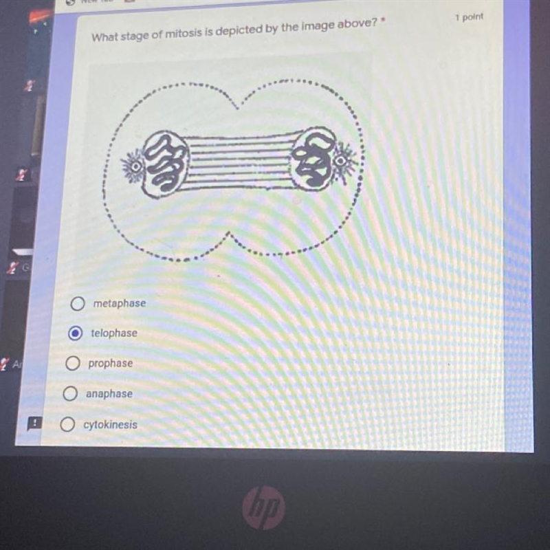 What stage of mitosis is depicted by the image above? O metaphase telophase O prophase-example-1