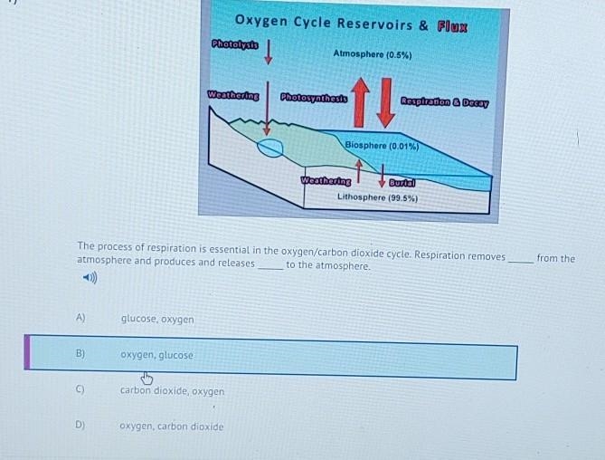 Help me out please! ​-example-1