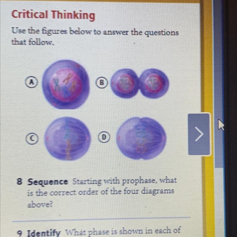 What is happening to the cell in diagram B?-example-1