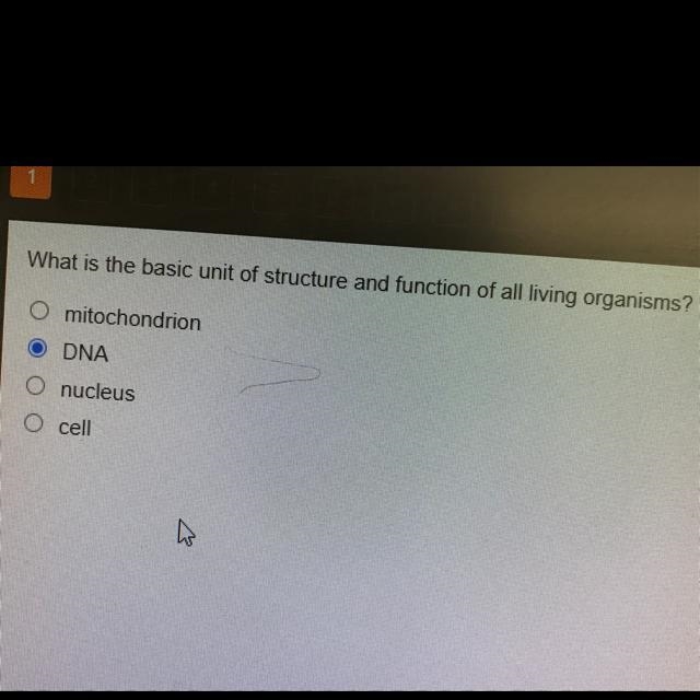 What is the basic unit of structure and function of all living organisms? O mitochondrion-example-1