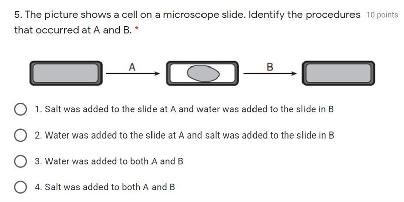 The picture shows a cell on a microscopic slide. Identify the procedures that occurred-example-1