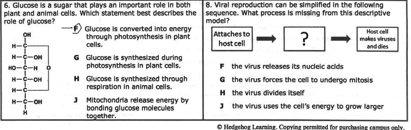 Please help fast......-example-1