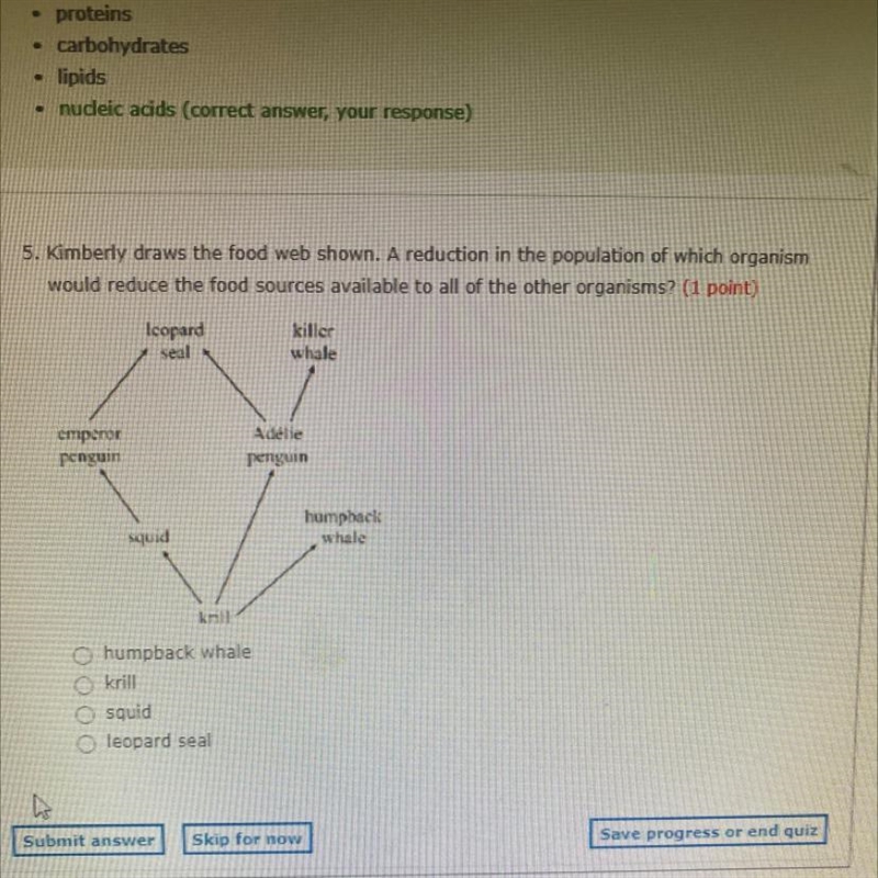 5. Kimberly draws the food web shown. A reduction in the population of which organism-example-1