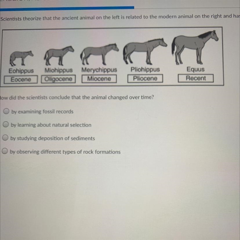 ANSWER QUICK! GIVING 20 POINTS! How did the scientists conclude that the animal changed-example-1