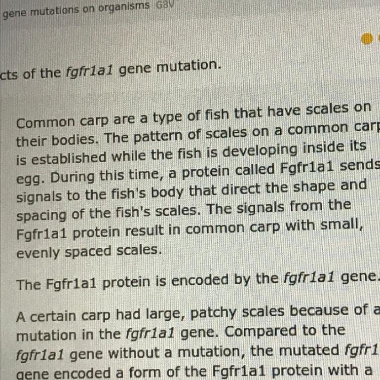 Can someone please help me. Complete the sentence. The mutation caused the fgfria-example-1