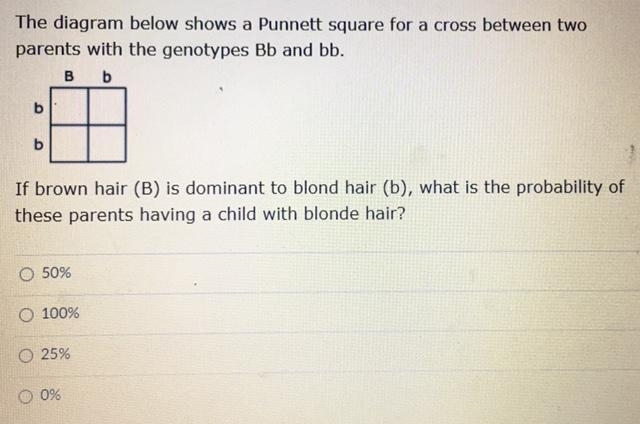 Please help me with this homework question!-example-1