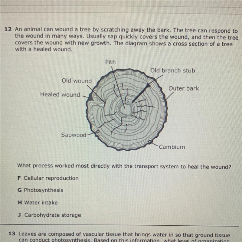 HELP ITS DUE RIGHT NOW ( BIOLOGY QUESTION !! )-example-1