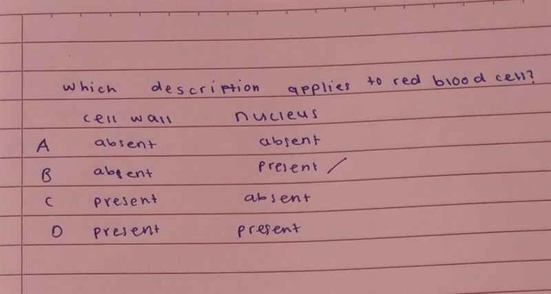 Does red blood cell has cell wall?​-example-1