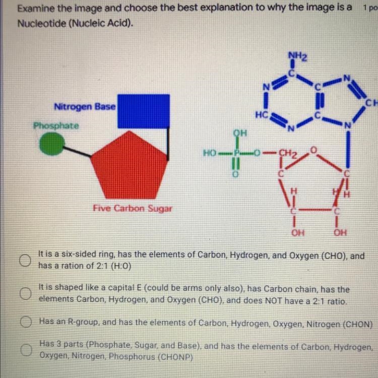 Bio 9th help pls! 10 points!-example-1