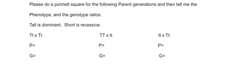 Someone please help me with Punnett square-example-1