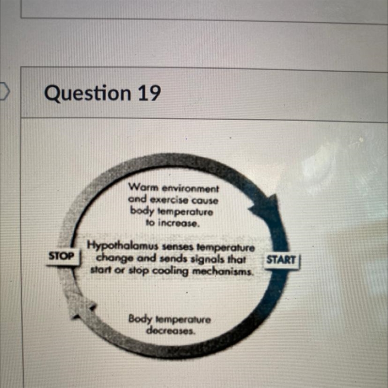 A scientist is writing a report and wants to include the diagram as shown above. Which-example-1