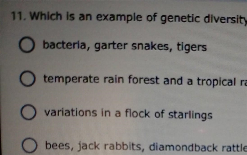 Which is an example of genetic diversity? 1. bacteria, garter snakes, tigers 2. temperate-example-1