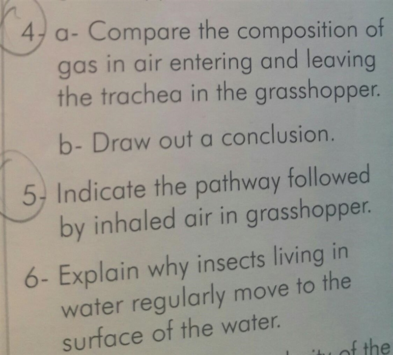 Help me solve 4 , 5 , 6 its in the picture-example-1