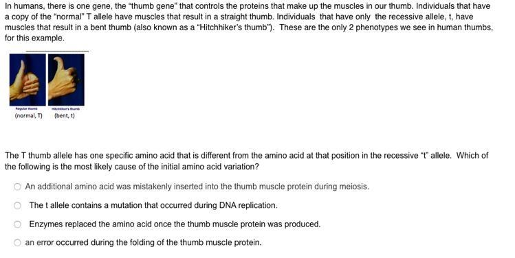 What's the answer please?-example-1