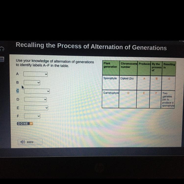 Help a mate out in biology-example-1