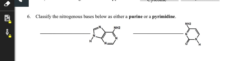 Help please this is for biology-example-1