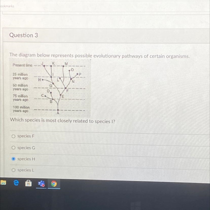 Pls help!!! I know it's probably easy lol-example-1