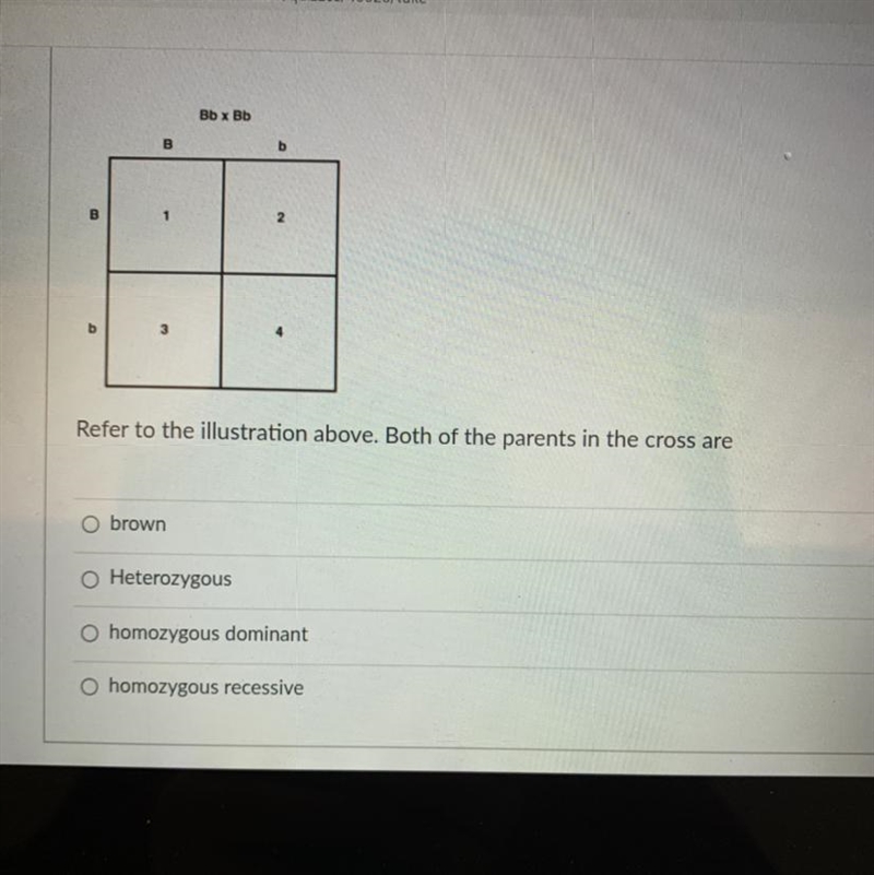 The topic is genetics-example-1