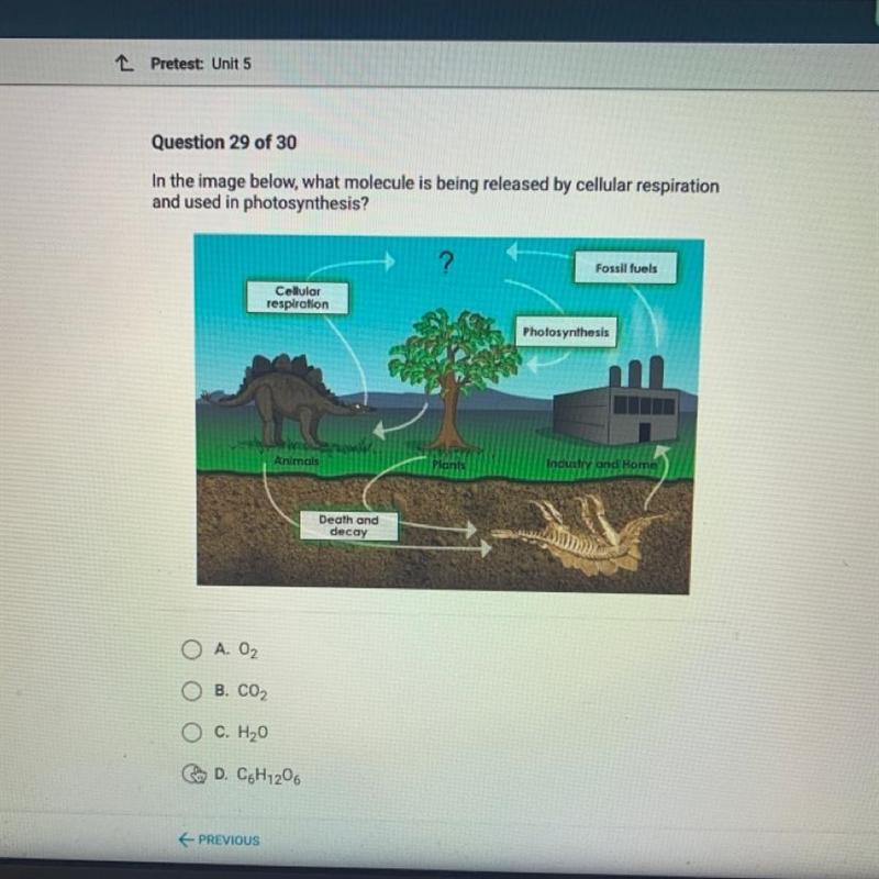 In the image below, what molecule is being released by cellular respiration and used-example-1