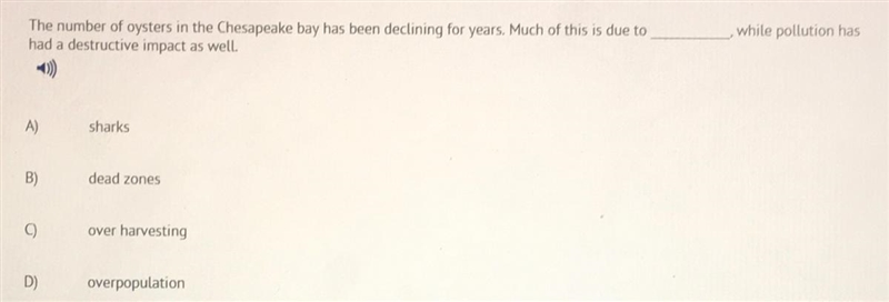 The number of oysters in the Chesapeake bay has been declining for years. Much of-example-1