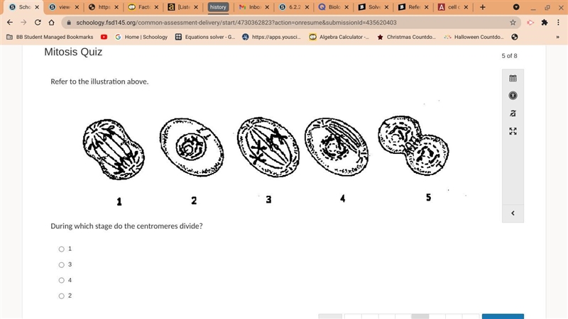 Refer to the illustration above. During which stage do the centromeres divide?-example-1