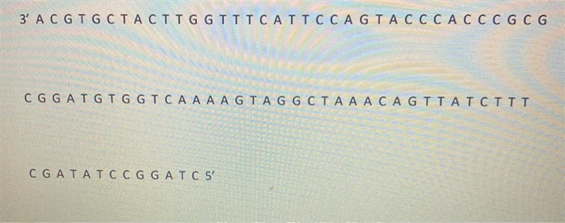 Using the dna template above, transcribe the complementary mRNA sequence.-example-1