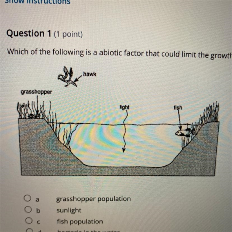 Question 1 (1 point) Which of the following is a abiotic factor that could limit the-example-1