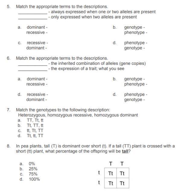 I need help with this! Please help me, questions are in the picture!-example-1