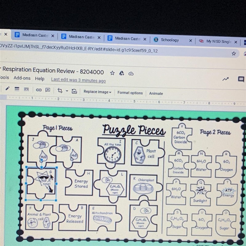 Pagel Pieces Puzzle Pieces Page 2 Pieces 6CO2 Carbon Dioxide J All the time Plant-example-1