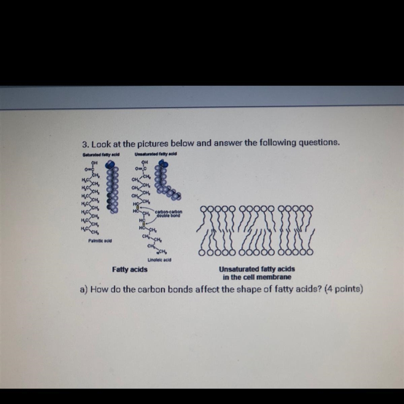 3. Look at the pictures beow and answer the following questions, Unsaturated fatty-example-1