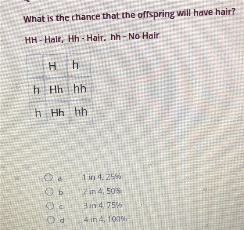 What is the chance that the offspring will have hair?-example-1